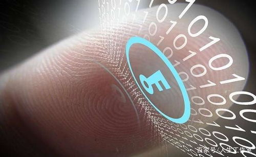 區塊鏈動態2021年1月29日午參速遞 技術軟件與服務發展新趨勢